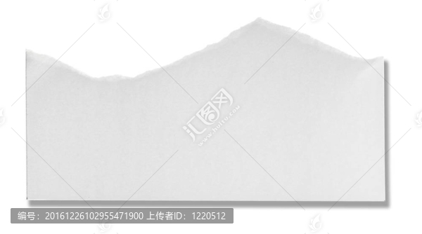 白皮書撕消息背景