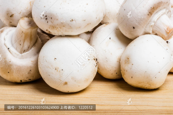 白蘑菇的特寫(xiě)
