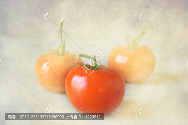 西紅柿
