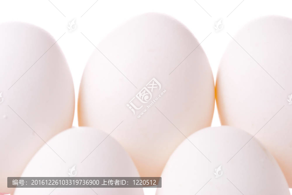 鮮白雞蛋組