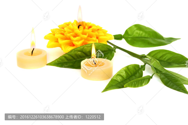 蠟燭