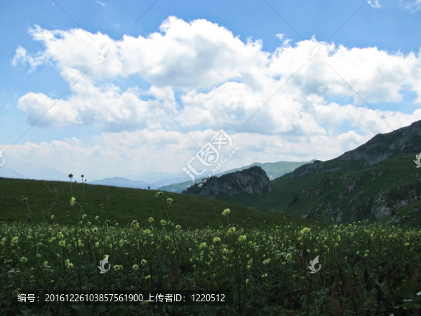高加索自然保護區(qū)壯麗的山岳風(fēng)光