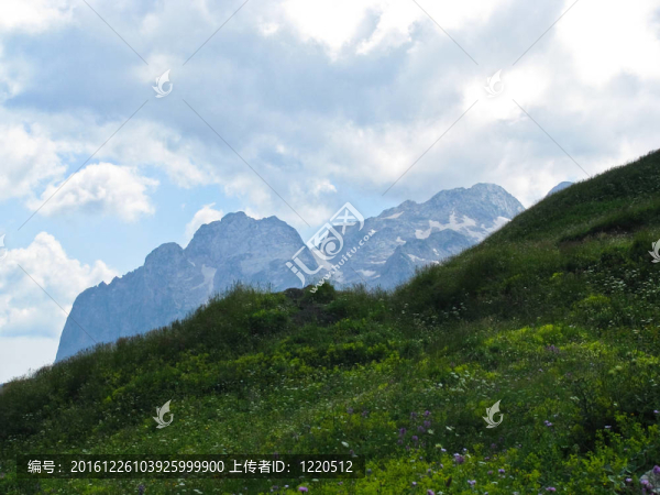 高加索自然保護區(qū)壯麗的山岳風光