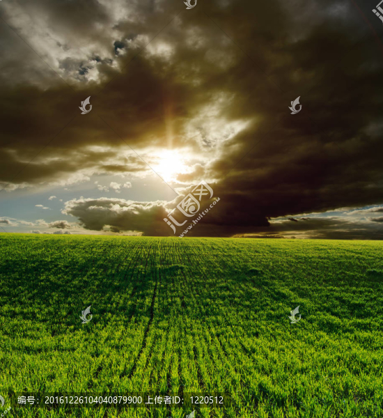 農(nóng)業(yè)綠地與夕陽的戲劇性