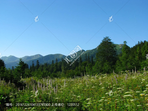 高加索自然保護區(qū)壯麗的山岳風光