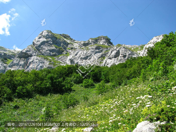 高加索自然保護(hù)區(qū)壯麗的山岳風(fēng)光