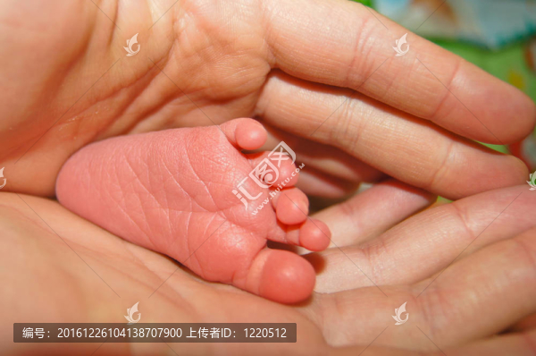 一個(gè)有趣的小男孩