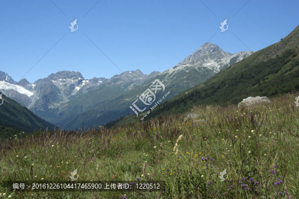 山地景觀
