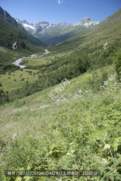 山地景觀