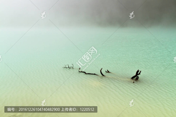 在霧蒙蒙的德里夫特伍德湖