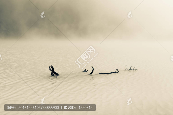 在霧蒙蒙的德里夫特伍德湖