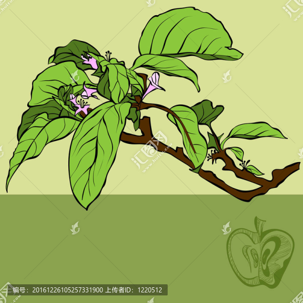 花香尾韻