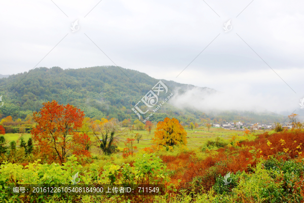 塔川秋色