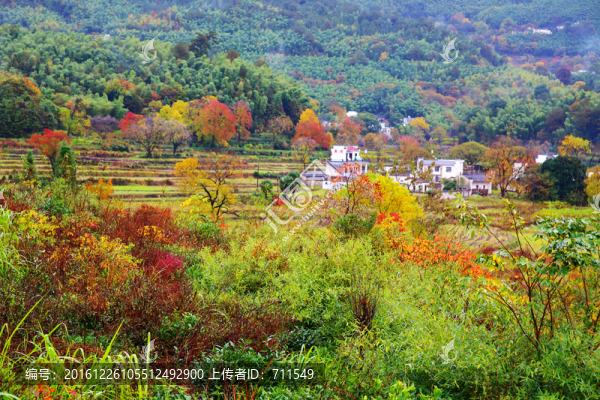 塔川風(fēng)光