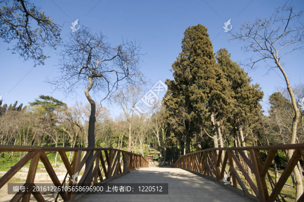 木橋