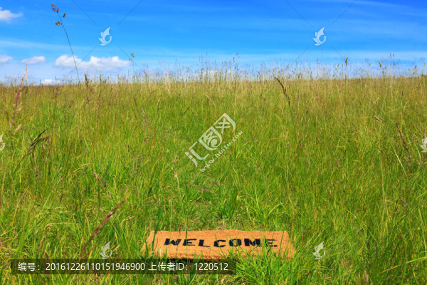 歡迎躺在藍(lán)色草地的草地上