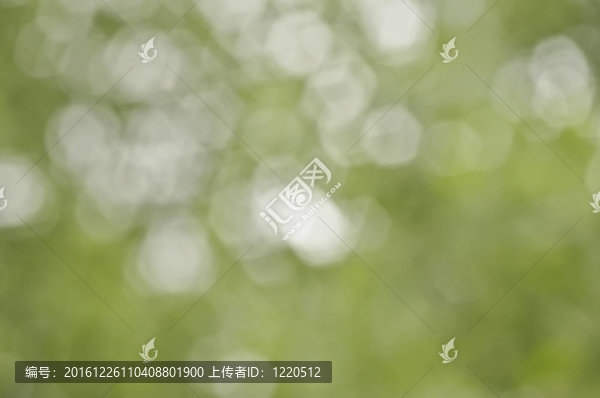 博克