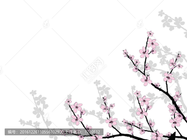美麗櫻花枝