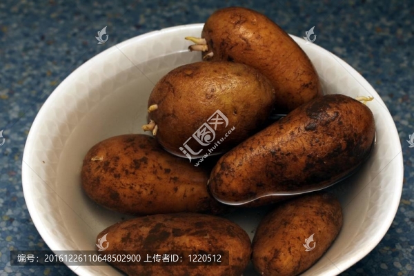 土豆