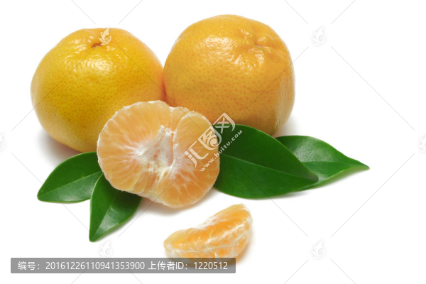 中國柑橘