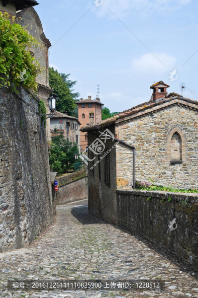 小巷。公司arquato。Emilia,Romagna。意大利.