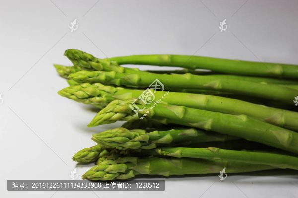 鮮蘆筍白
