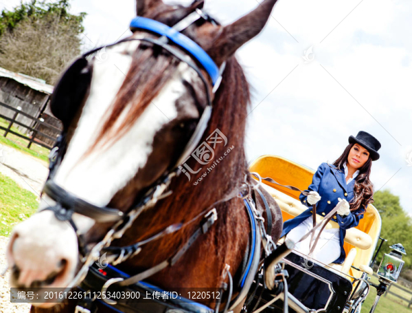女子駕馬馬車