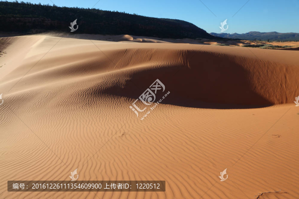 清晨在粉紅色沙丘上