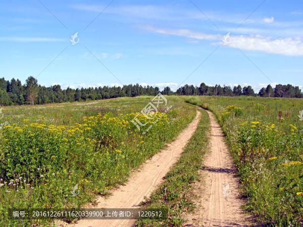 農村公路