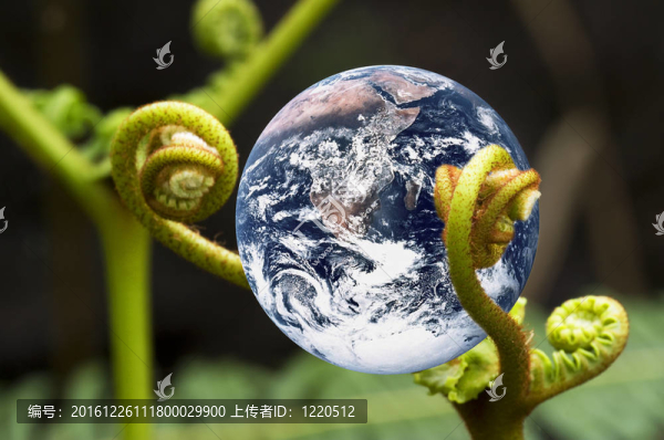 生活的地球