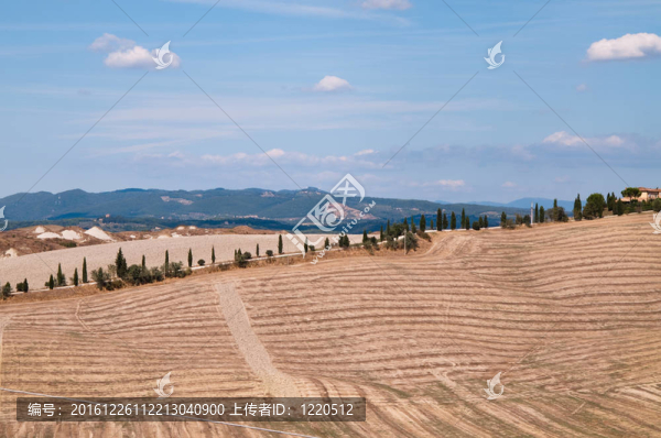 克里特島senesi