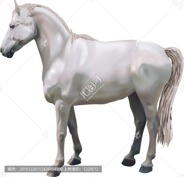 馬的插圖