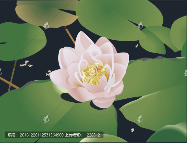 水莉莉插圖