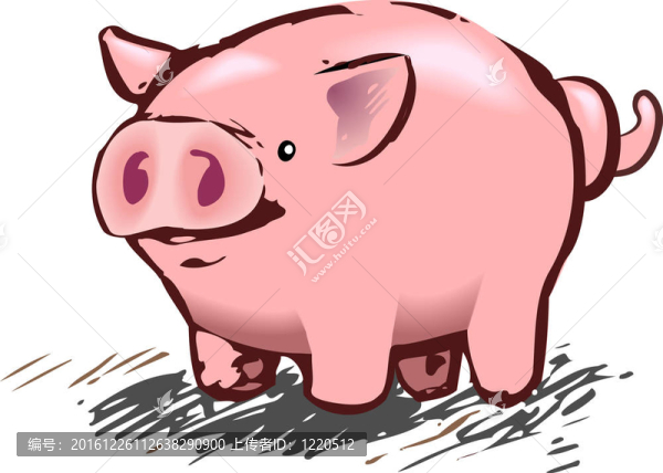 豬的插圖