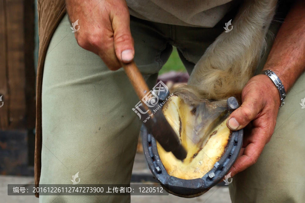 馬蹄