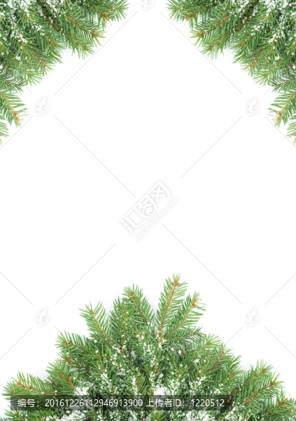 帶雪和圓錐體的圣誕框架