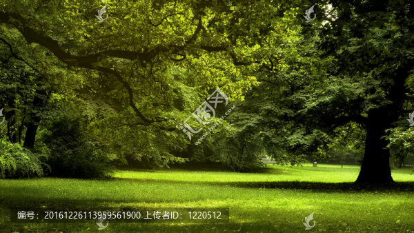 春天的公園