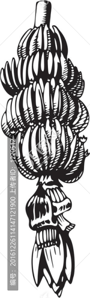 水果