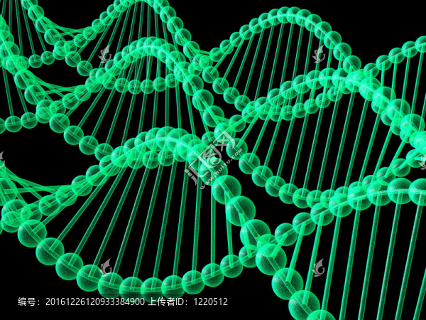 基因在DNA