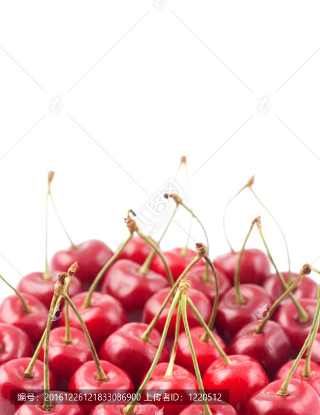 紅櫻桃