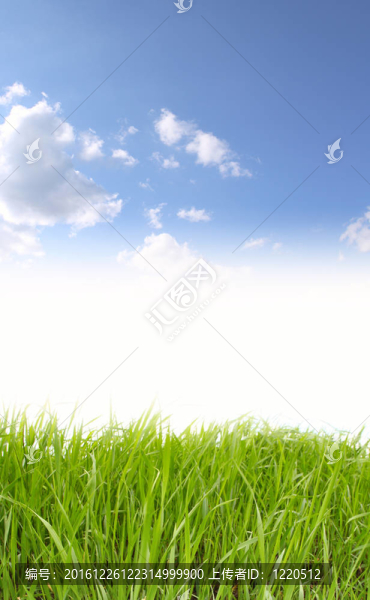 草地和天空背景
