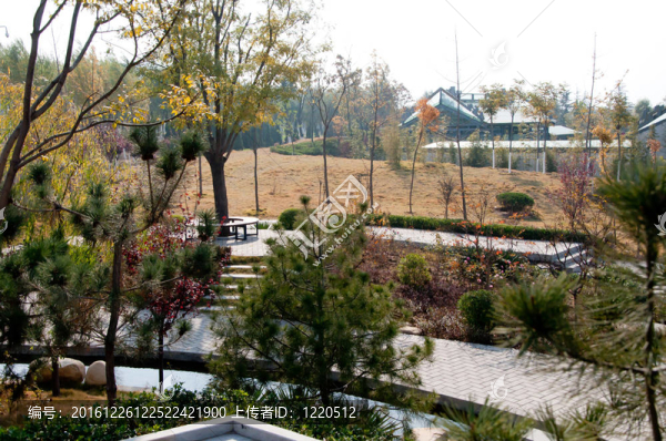 公園拍攝