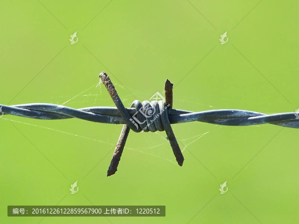 鐵絲網(wǎng)