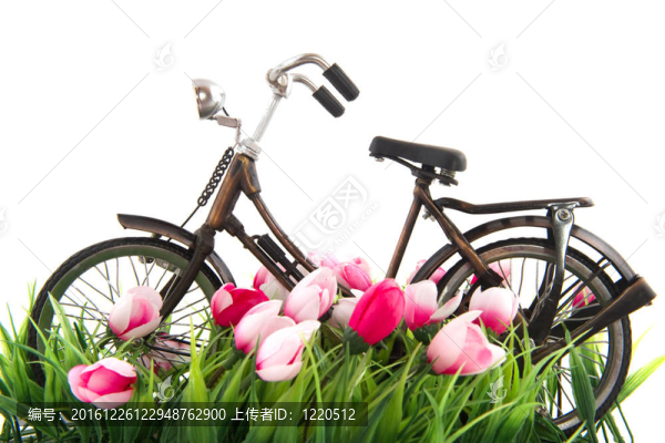 老年女性的自行車