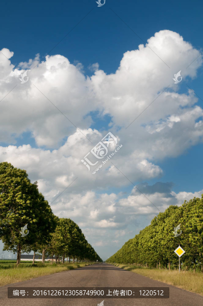 空蕩蕩的街道上