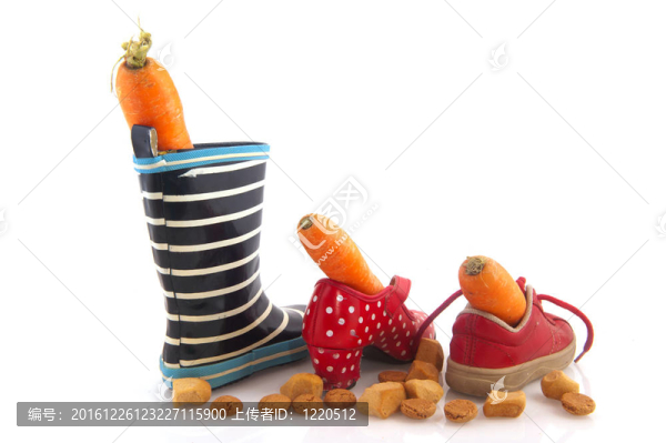 Sinterklaas胡蘿卜和鞋