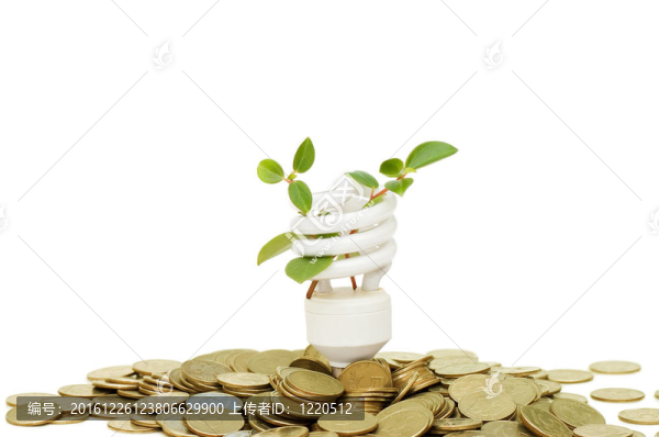 白色綠色育苗節(jié)能燈