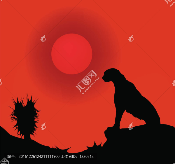 豹