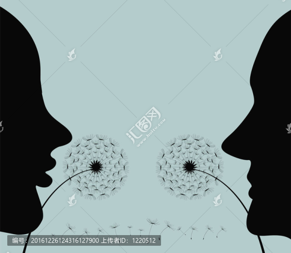 蒲公英