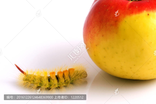 卡特彼勒和蘋果